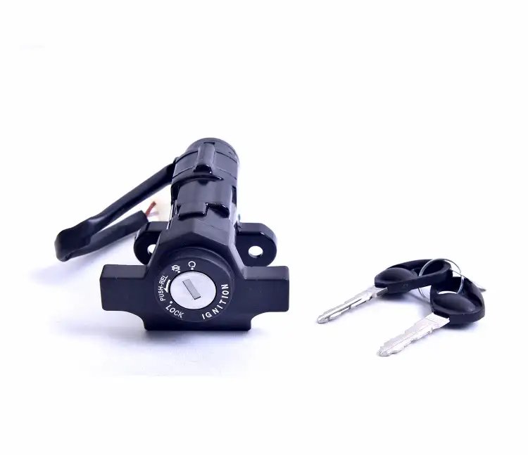 Ignition Switch 2 Pin Coupler For Platina Upgrade 125cc | Spark Minda