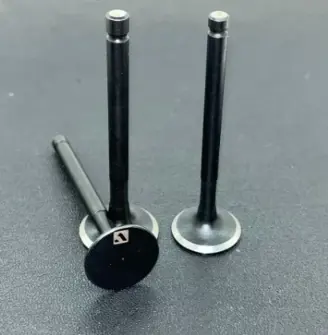 Kit Engine Valve N9325820 Tvs Apache Rtr 4v 160 (oem),