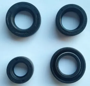 Kit Oilseal P6320120 Tvs Xl 100 100 (oem),