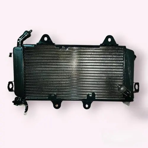 Ktm Duke/rc 200 Radiator Assembly