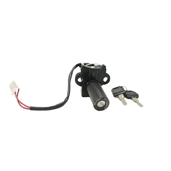 Lock Ignition For Passion Pro