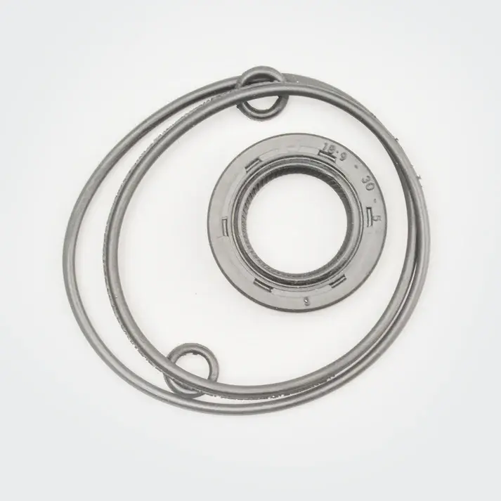Magnet Oil Seal (w-ring Kit) Hh