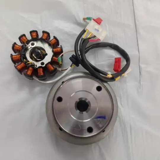 Magneto Assembly Es For Tvs Phoenix 125