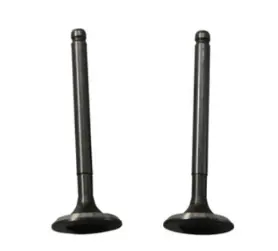 Needle Valve Assembly N8320510 Tvs Star City 100 (oem),