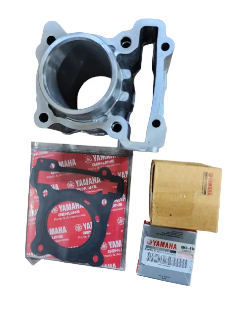 Cyliner Block Kit / Borkit  Compatible For Yamaha R15 V3 Original