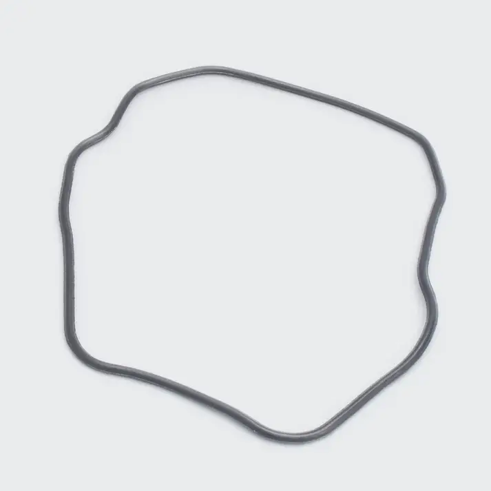 O Ring Head Cover Fz