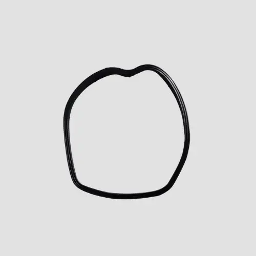 O Ring Head Cover Platina 100