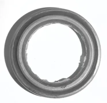 Oil Seal 1257290 Tvs Max100r 100 (oem),