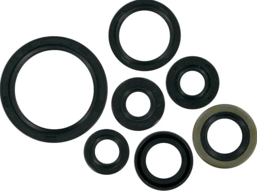 Oil Seal Kit 09120kwpd02 Honda Activa 110/het (oem),
