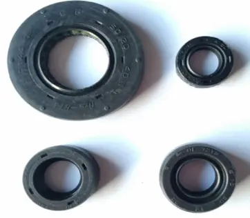 Oil Seal Kit – Apache M7321580 Tvs Apache Rtr 160 (oem),