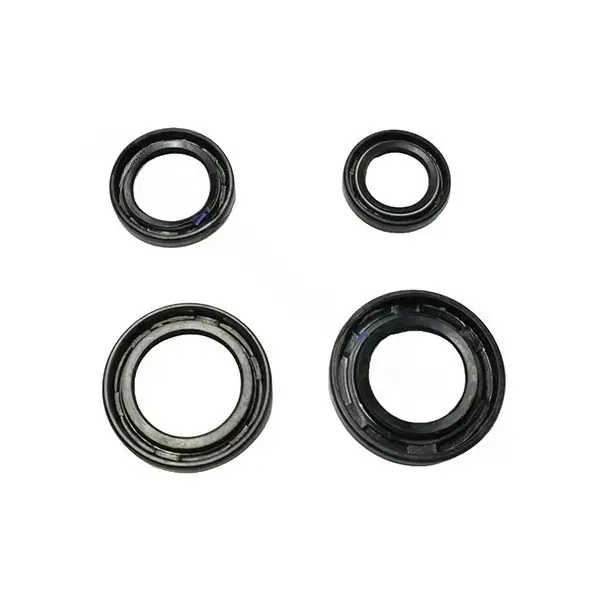 Oil Seal Kit For Access