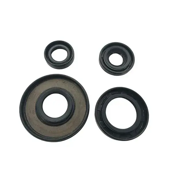 Oil Seal Kit For Activa 3g