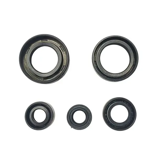 Oil Seal Kit For Pulsar-150/180,dts