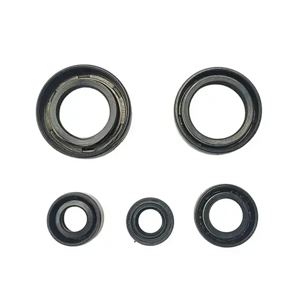 Oil Seal Kit For Pulsar-150/180,dts