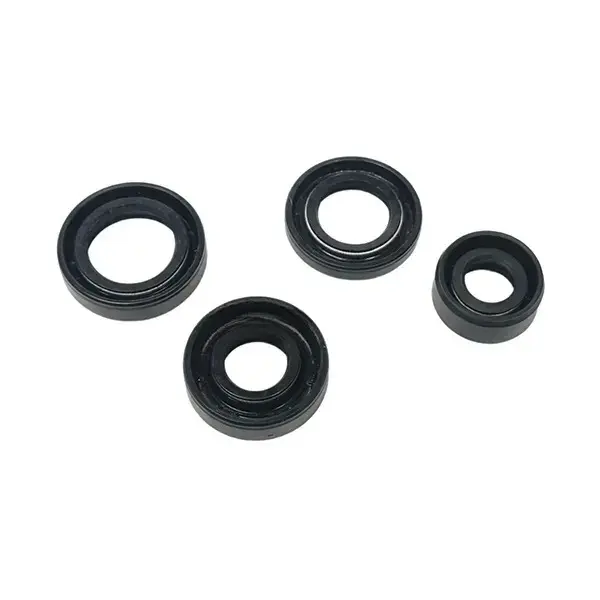 Oil Seal Kit For Starcity/centra