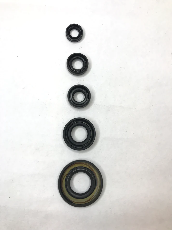 Oil Seal Kit For Tvs Apache Rtr 160 180 2v Models Set Of 5 Seals