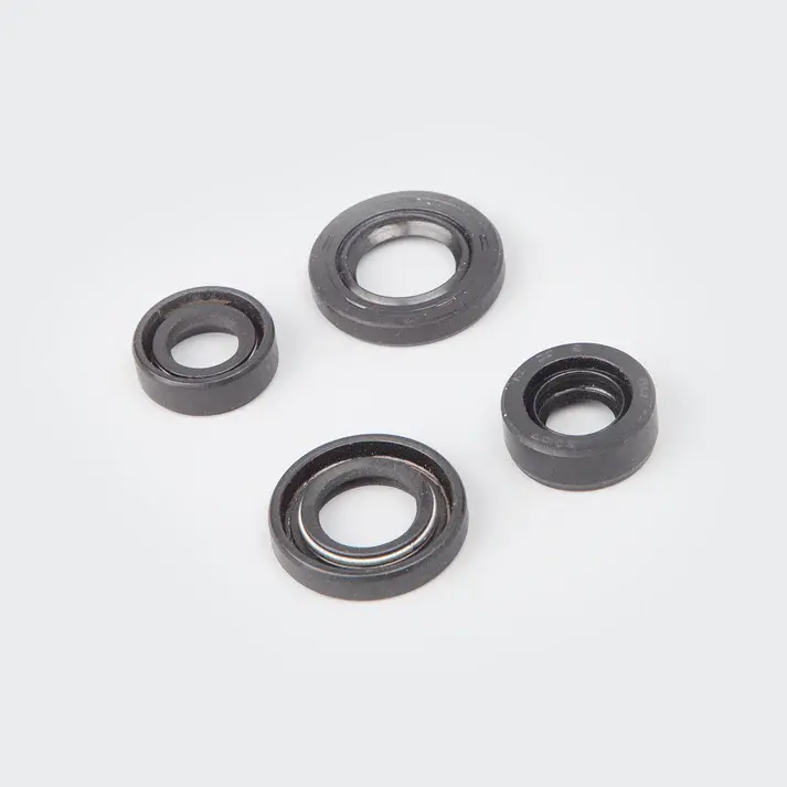 Oil Seal Kit [s.o.4] Victor