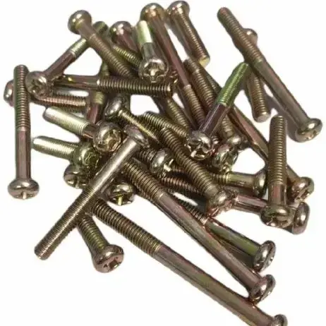 Rx100 Engine Screw Kit