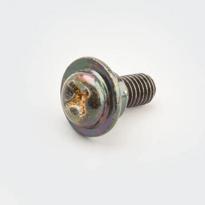 Screw No.plate [f] Passion