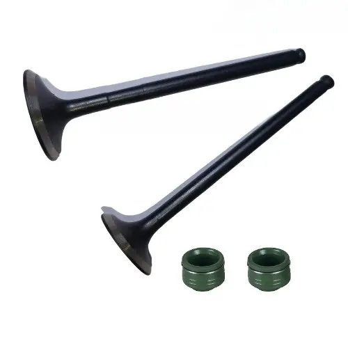 Splendor+ Ibs Bsvi (aug, 2022) Valve Kit Hero Genuine Parts –