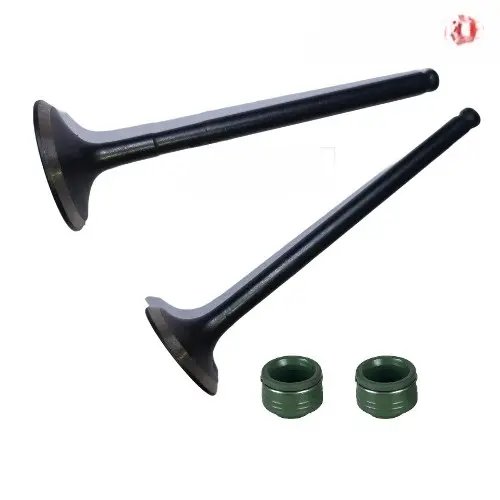 Splendor+ Ibs Bsvi (jan, 2021) Valve Kit Hero Genuine Parts –