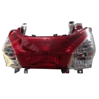 Tail Light Assembly Standard Aviator – Genuine