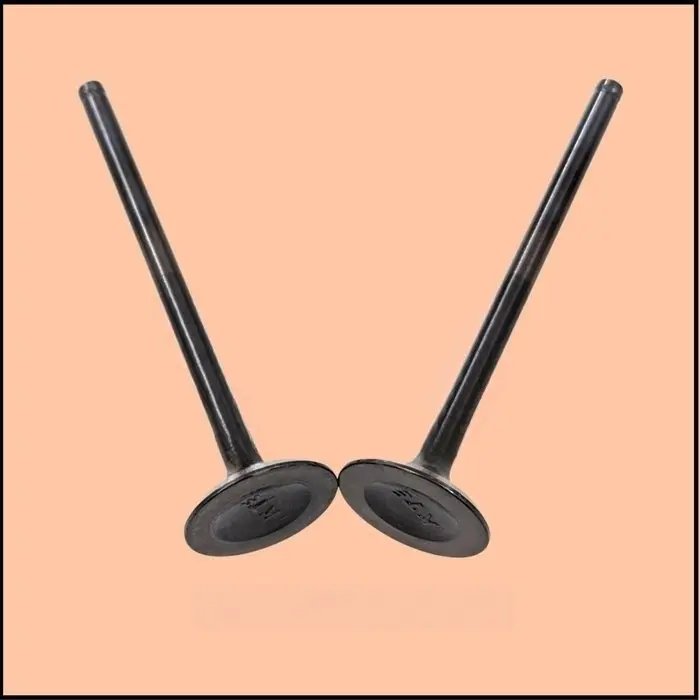 Valve Exhaust – Dt511270 (duke 390 2019-23)