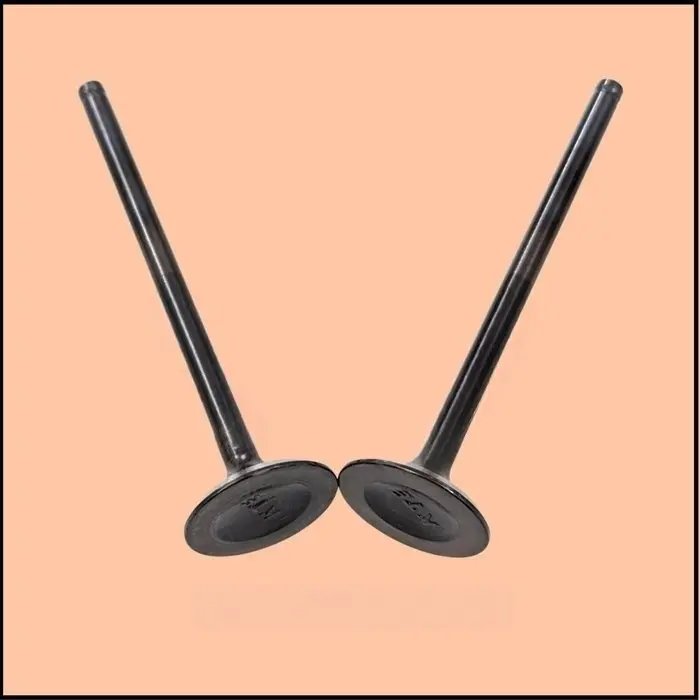 Valve Exhaust – Jp511230 (duke 200 2020-23)