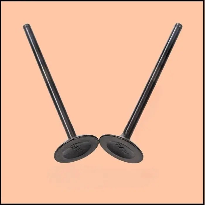 Valve Exhaust  – Ju511225 (duke 200 2018-19)