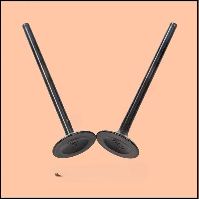 Valve Exhaust – Jy511222 (duke 390 2013-18)