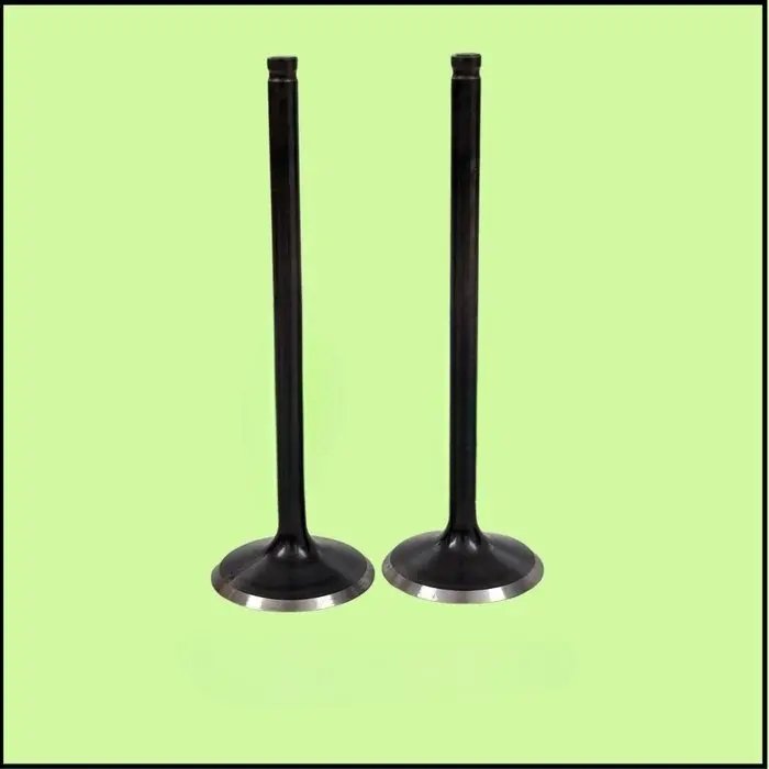 Valve Intake – Jg511257 (duke 125 2019-23)