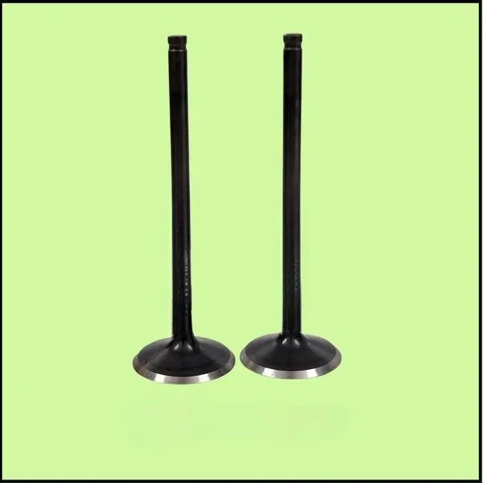 Valve Intake – Ju511205 (duke 200 2013-2023)