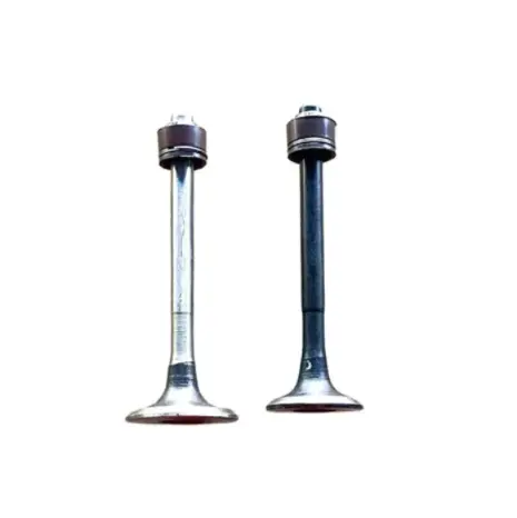 Valve Kit 01471k1ld00 Honda Hornet 2-0-bs6 (oem),