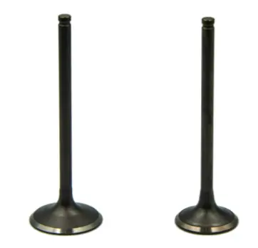 Valve Kit 01471ksp860 Honda Unicorn (oem),