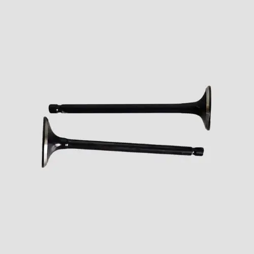 Valve Set Platina 100 Es