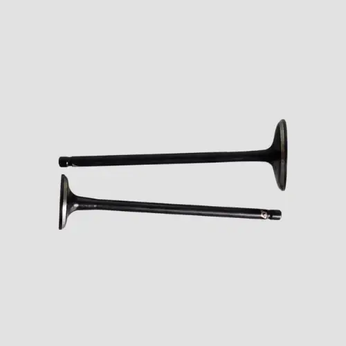 Valve Set Pulsar 125 N