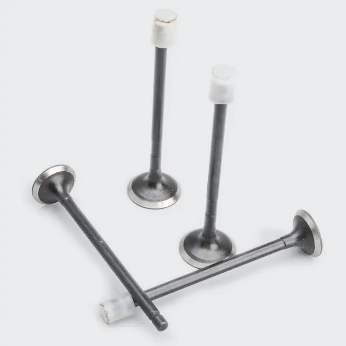 Valve Set [s.o.4] Discover 125st