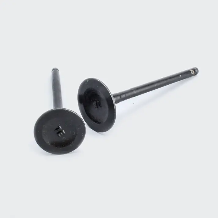 Valve Set Shine/stunner