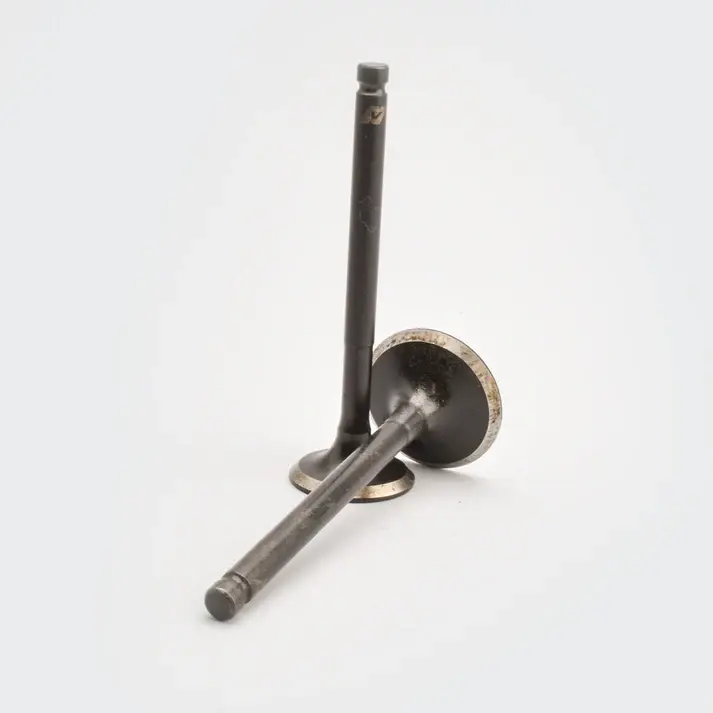 Valve Set Victor/star/star Dlx/star City