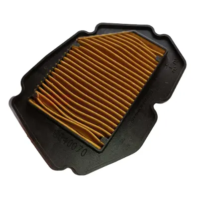 Xl 100 Air Filter Genuine Air Filters –